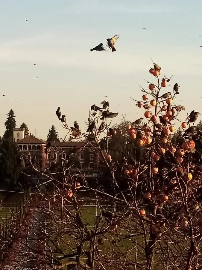 Castello Di Cernusco Lombardone B&B