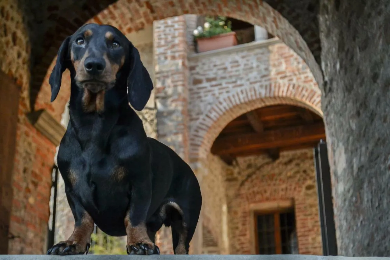 Castello Di Cernusco Lombardone B&B